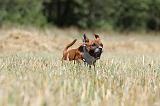 STAFFIE 120
